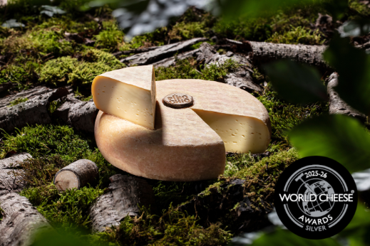 WCA Pino Website Teaser M