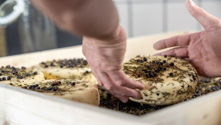 Der Käse wird von Hand mit Kräutern bestreut.