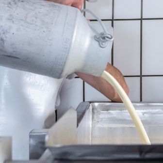 Käser bei der Milchverarbeitung