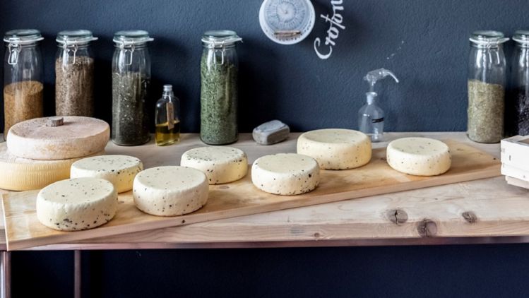 In der Käserei PurCrü werden neue Käse kreiert. Das Bild zeigt eine Auswahl von verschiedenen Käse.